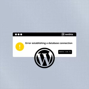 WordPress Veritabanı Hatası